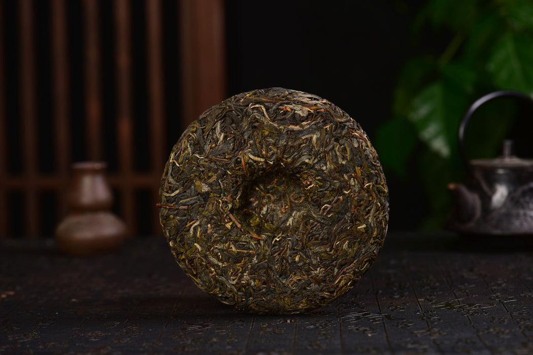 2025 Yunnan Sourcing "Forest Tea" Raw Pu-erh Tea Cake | Yunnan Sourcing Tea Shop