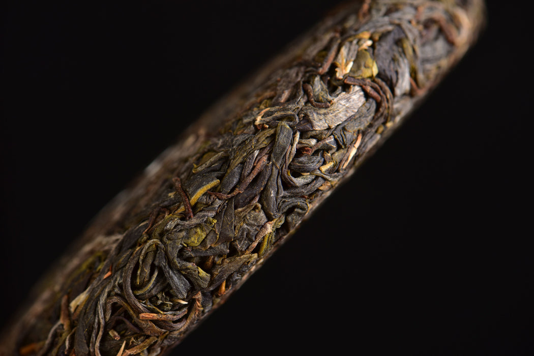 2025 Yunnan Sourcing "Forest Tea" Raw Pu-erh Tea Cake | Yunnan Sourcing Tea Shop