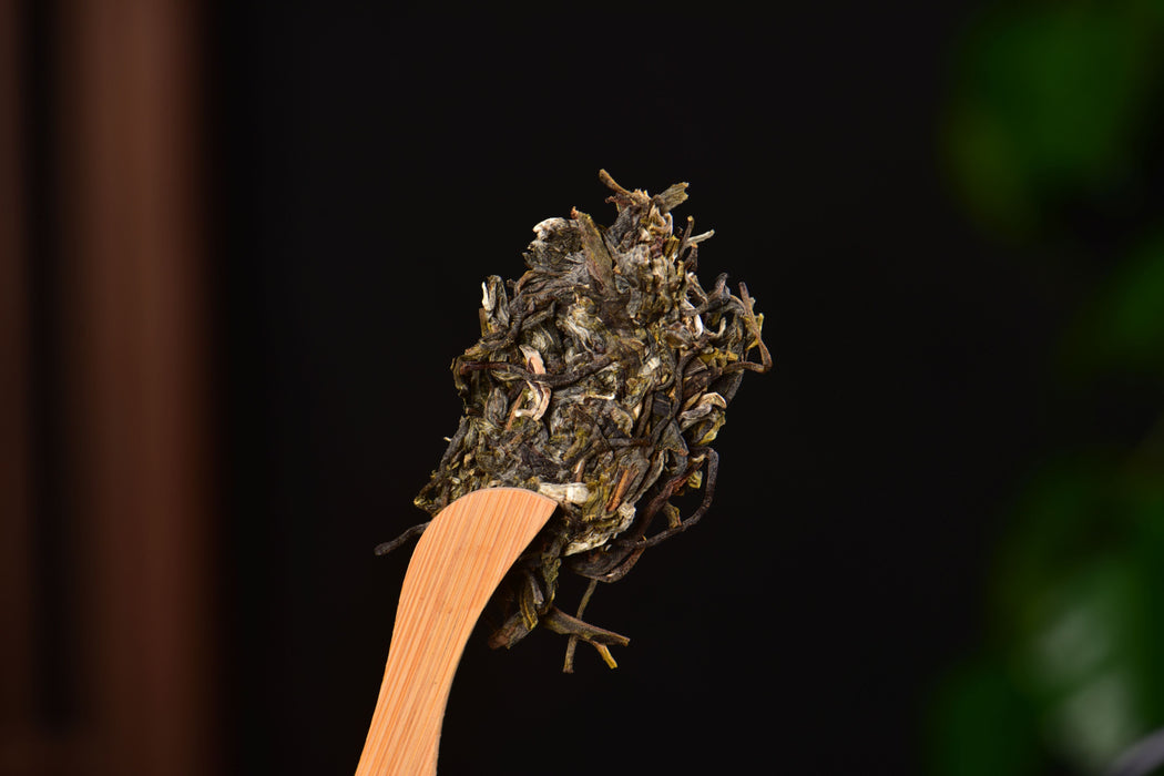 2024 Yunnan Sourcing "Ai Lao Secret Garden" Old Arbor Raw Pu-erh Tea Cake | Yunnan Sourcing Tea Shop