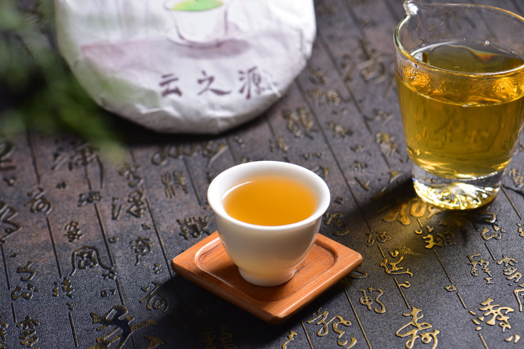 2025 Yunnan Sourcing "Ku Zhu Shan" Raw Pu-erh Tea Cake | Yunnan Sourcing Tea Shop