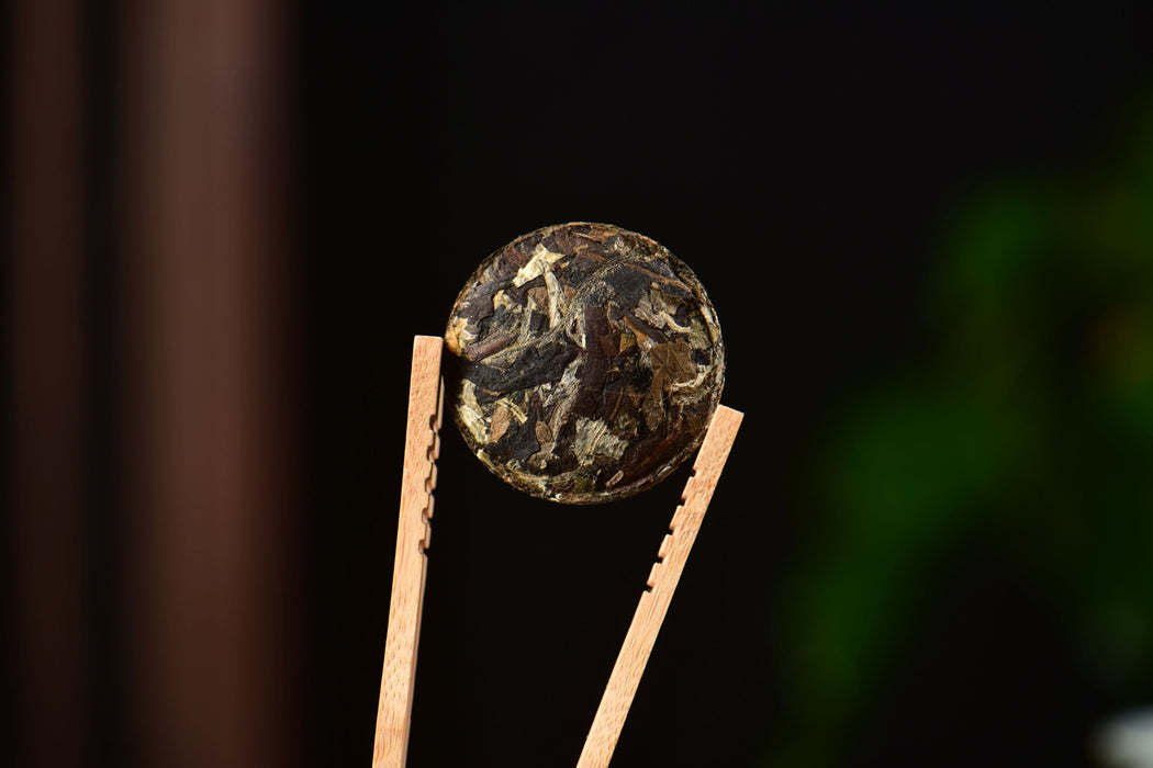 2025 Yunnan Sourcing "Silver Label" Wild Arbor White Tea Mini Cakes | Yunnan Sourcing Tea Shop