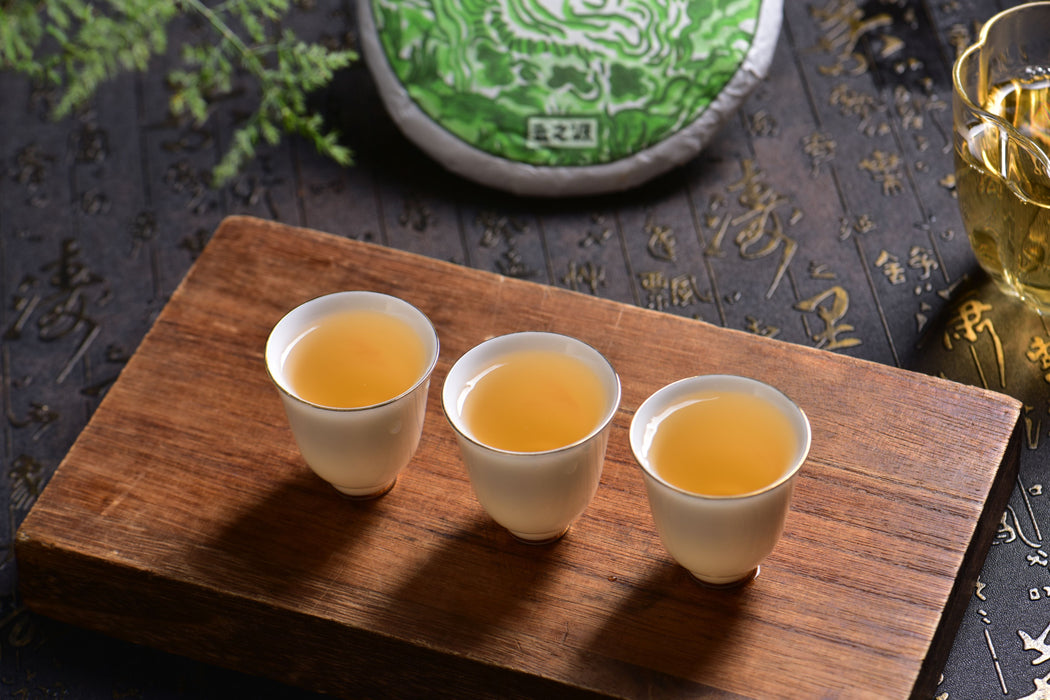 2024 Yunnan Sourcing "Ai Lao Secret Garden" Old Arbor Raw Pu-erh Tea Cake | Yunnan Sourcing Tea Shop