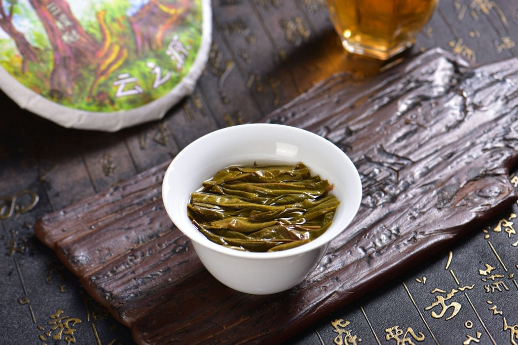 2025 Yunnan Sourcing "San Ke Shu" Old Arbor Raw Pu-erh Tea Cake | Yunnan Sourcing Tea Shop