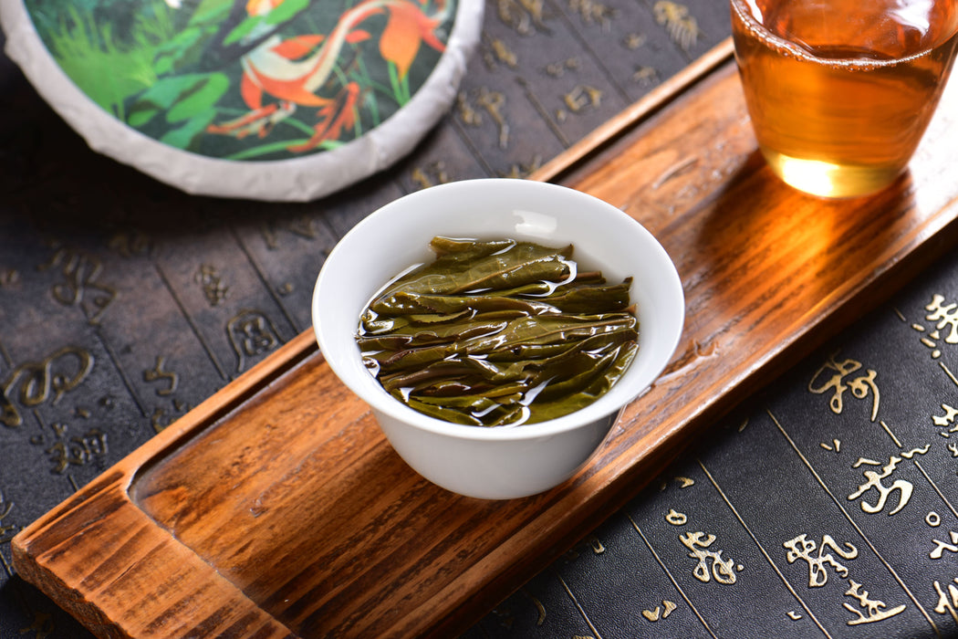 2025 Yunnan Sourcing "Jiu Tai Po" Old Arbor Raw Pu-erh Tea Cake | Yunnan Sourcing Tea Shop