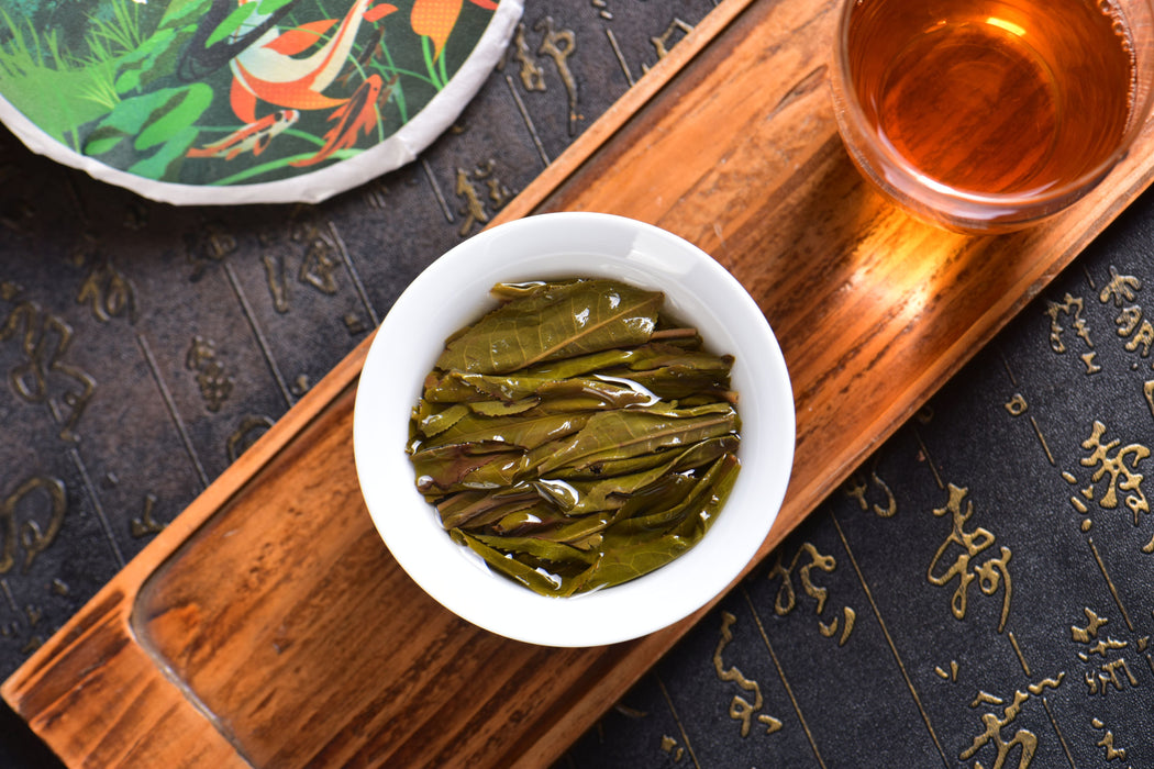 2025 Yunnan Sourcing "Jiu Tai Po" Old Arbor Raw Pu-erh Tea Cake | Yunnan Sourcing Tea Shop