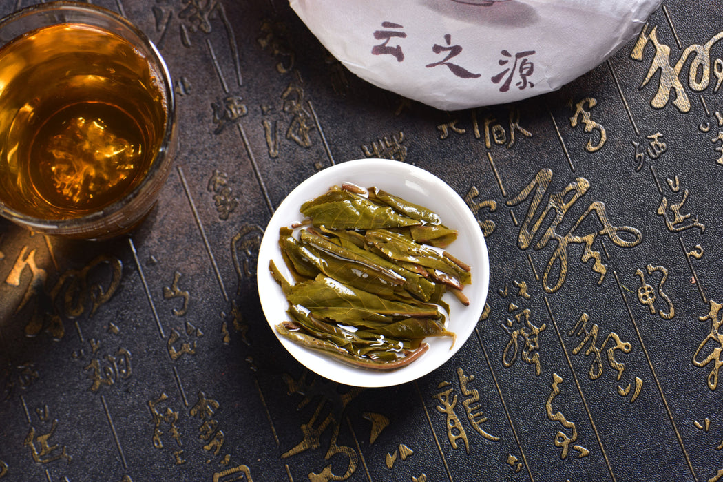 2025 Yunnan Sourcing "Ku Zhu Shan" Raw Pu-erh Tea Cake | Yunnan Sourcing Tea Shop