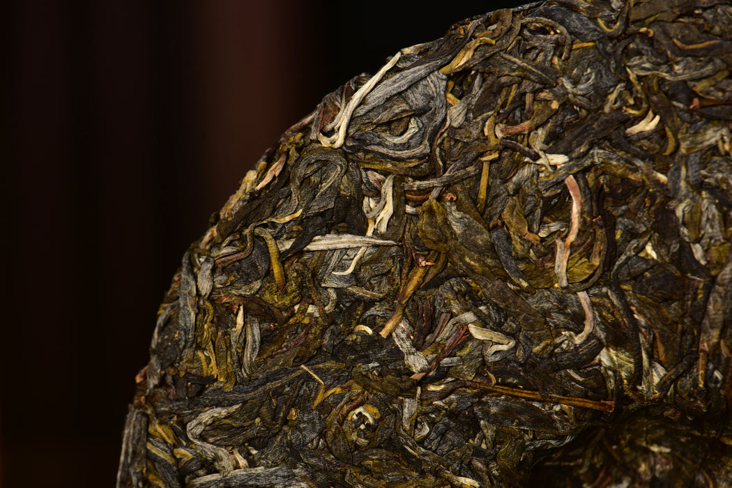 2025 Yunnan Sourcing "Autumn Jiu Tai Po" Old Arbor Raw Pu-erh Tea Cake | Yunnan Sourcing Tea Shop