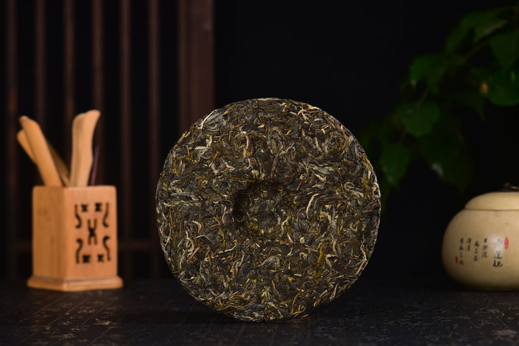 2025 Yunnan Sourcing "Autumn Jiu Tai Po" Old Arbor Raw Pu-erh Tea Cake | Yunnan Sourcing Tea Shop