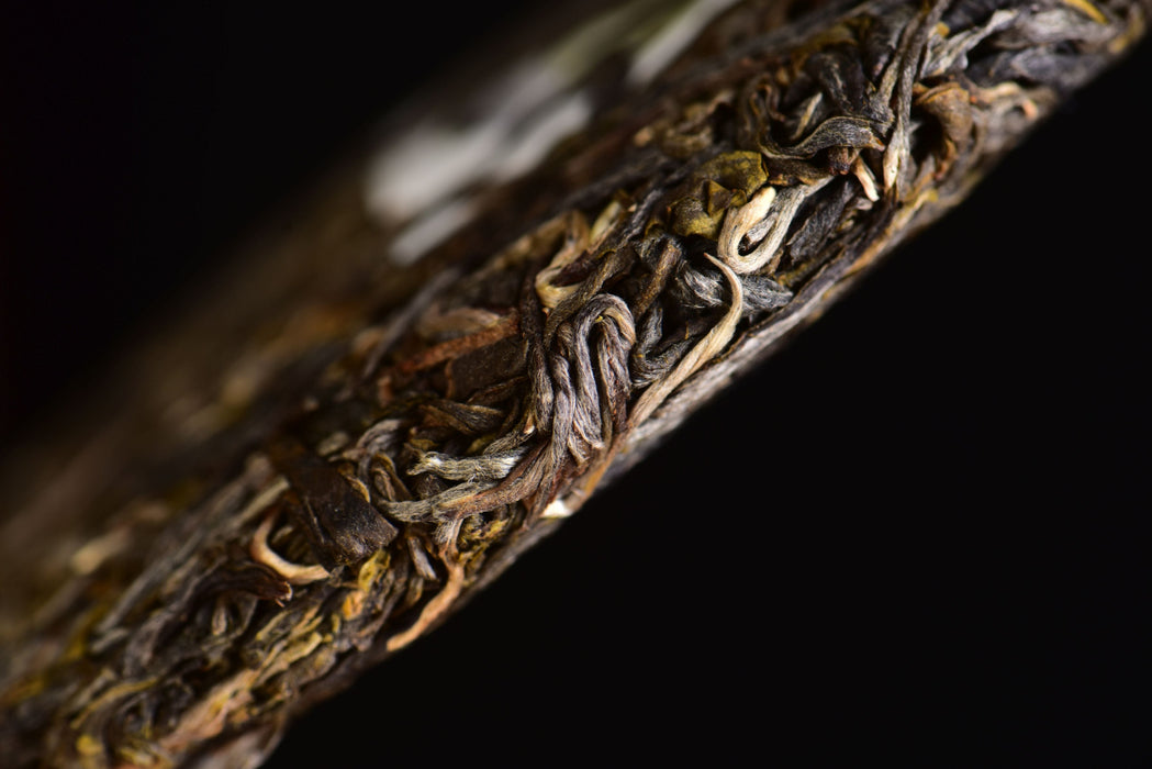 2025 Yunnan Sourcing "Autumn Jiu Tai Po" Old Arbor Raw Pu-erh Tea Cake | Yunnan Sourcing Tea Shop