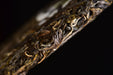 2025 Yunnan Sourcing "Autumn Jiu Tai Po" Old Arbor Raw Pu-erh Tea Cake | Yunnan Sourcing Tea Shop
