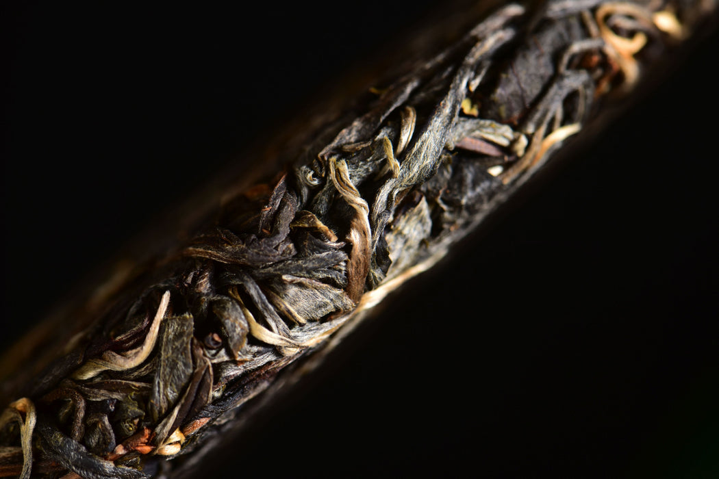 2025 Yunnan Sourcing "Autumn Huang Shan Gu Shu" Old Arbor Raw Pu-erh Tea Cake | Yunnan Sourcing Tea Shop