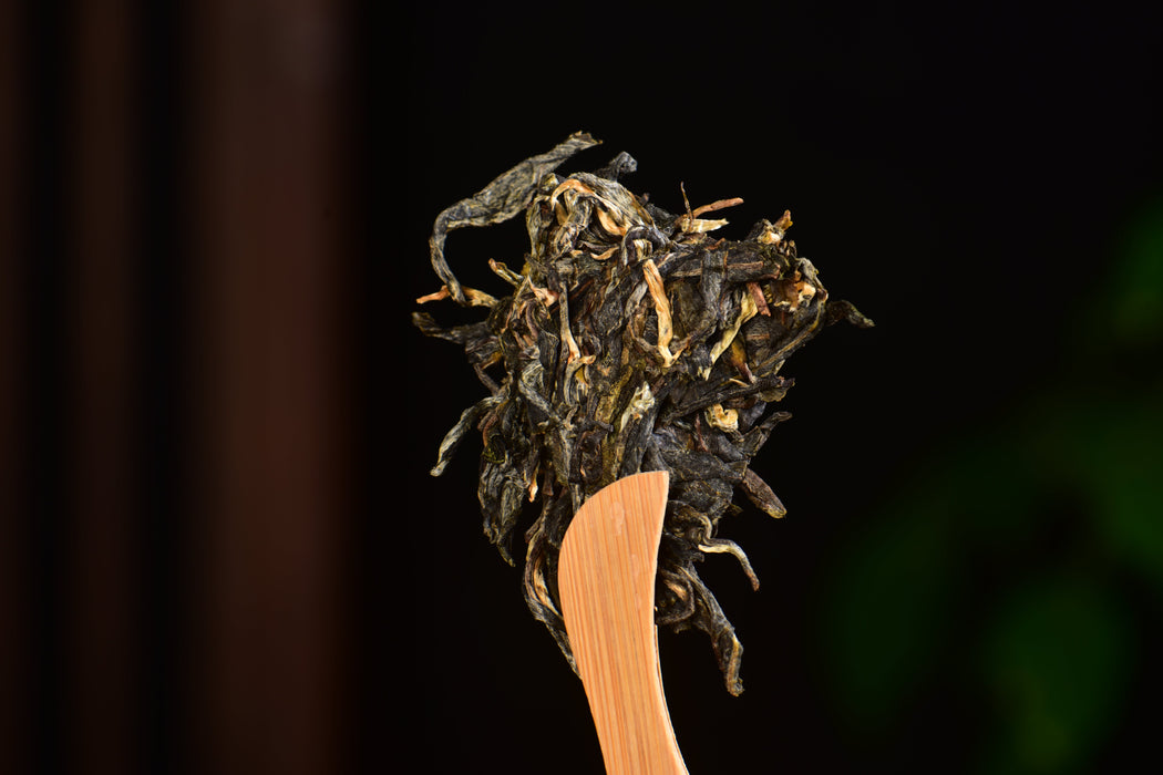 2025 Yunnan Sourcing "Autumn Huang Shan Gu Shu" Old Arbor Raw Pu-erh Tea Cake | Yunnan Sourcing Tea Shop