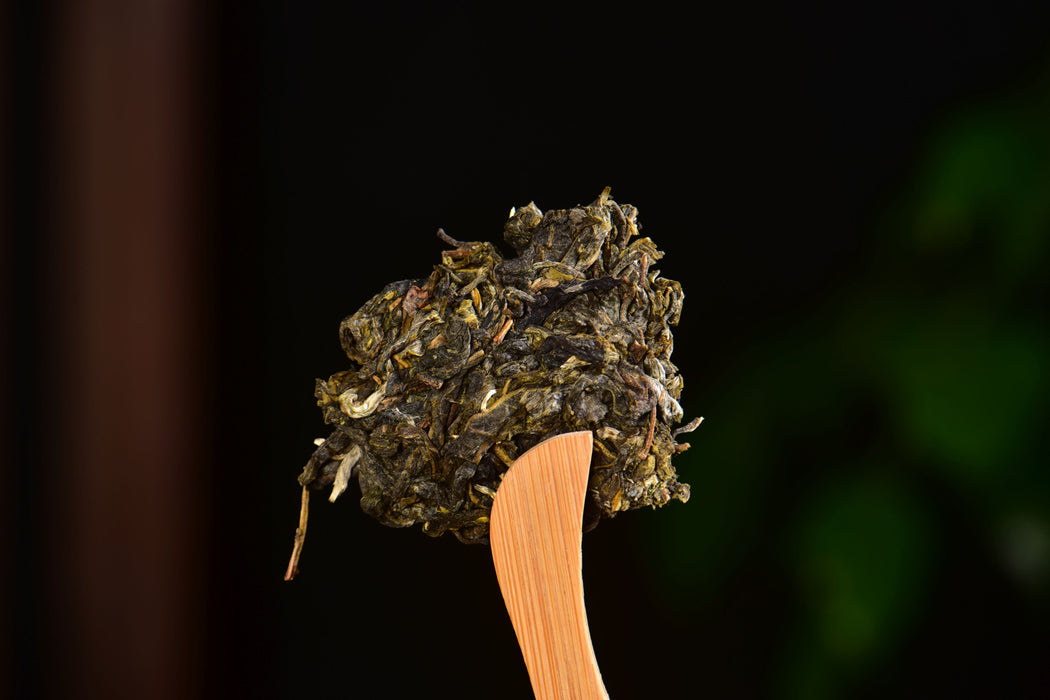 2025 Yunnan Sourcing "Autumn Jiu Tai Po" Old Arbor Raw Pu-erh Tea Cake | Yunnan Sourcing Tea Shop