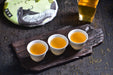 2025 Yunnan Sourcing "Autumn Jiu Tai Po" Old Arbor Raw Pu-erh Tea Cake | Yunnan Sourcing Tea Shop