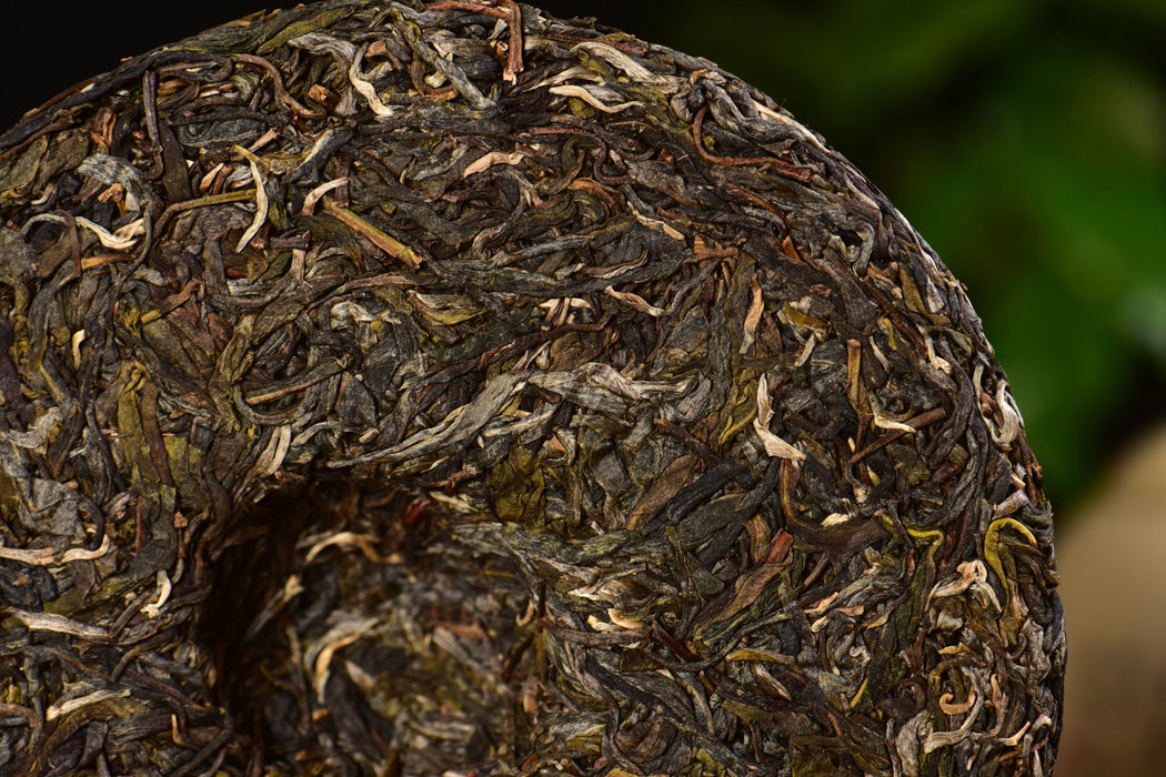 2025 Yunnan Sourcing "Autumn Mu Shu Cha" Old Arbor Raw Pu-erh Tea Cake | Yunnan Sourcing Tea Shop