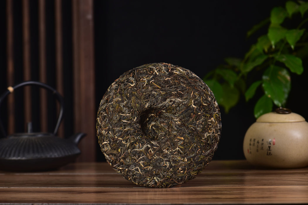 2025 Yunnan Sourcing "Autumn Mu Shu Cha" Old Arbor Raw Pu-erh Tea Cake | Yunnan Sourcing Tea Shop