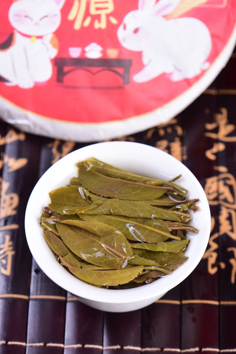 2023 Yunnan Sourcing "Autumn Jiu Tai Po" Old Arbor Raw Pu-erh Tea Cake