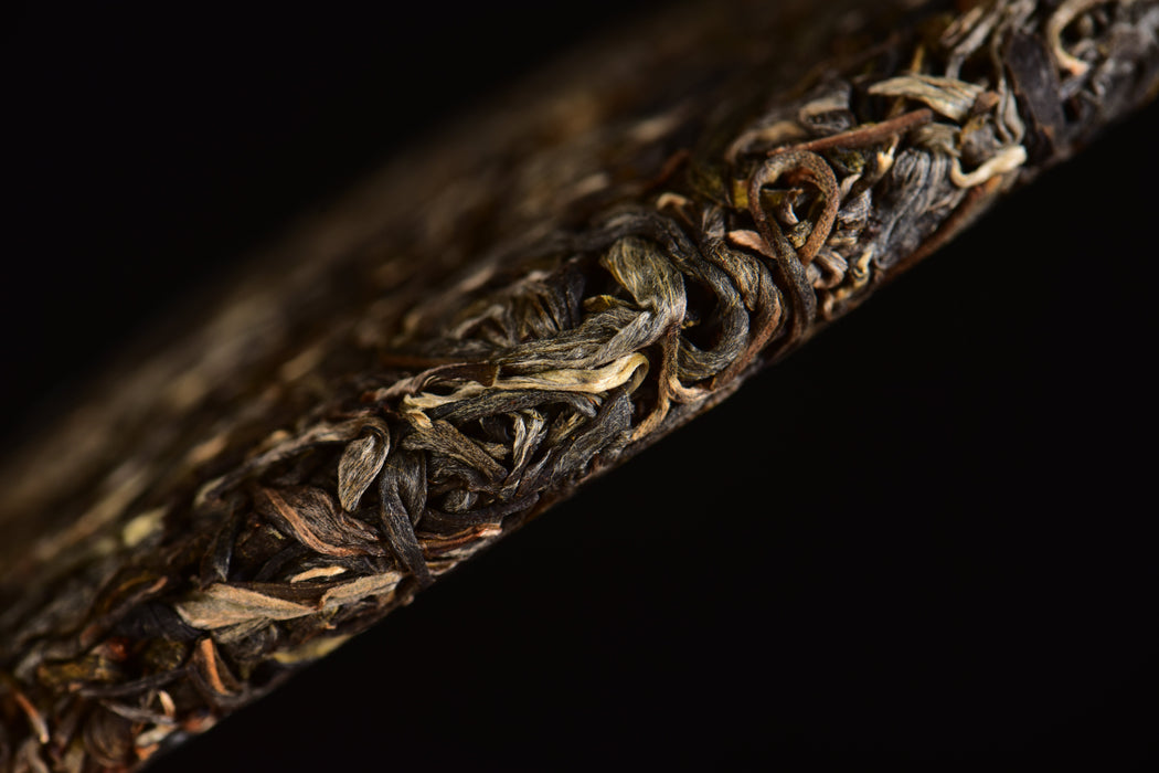 2025 Yunnan Sourcing "Autumn Da Qing Gu Shu" Old Arbor Raw Pu-erh Tea Cake | Yunnan Sourcing Tea Shop