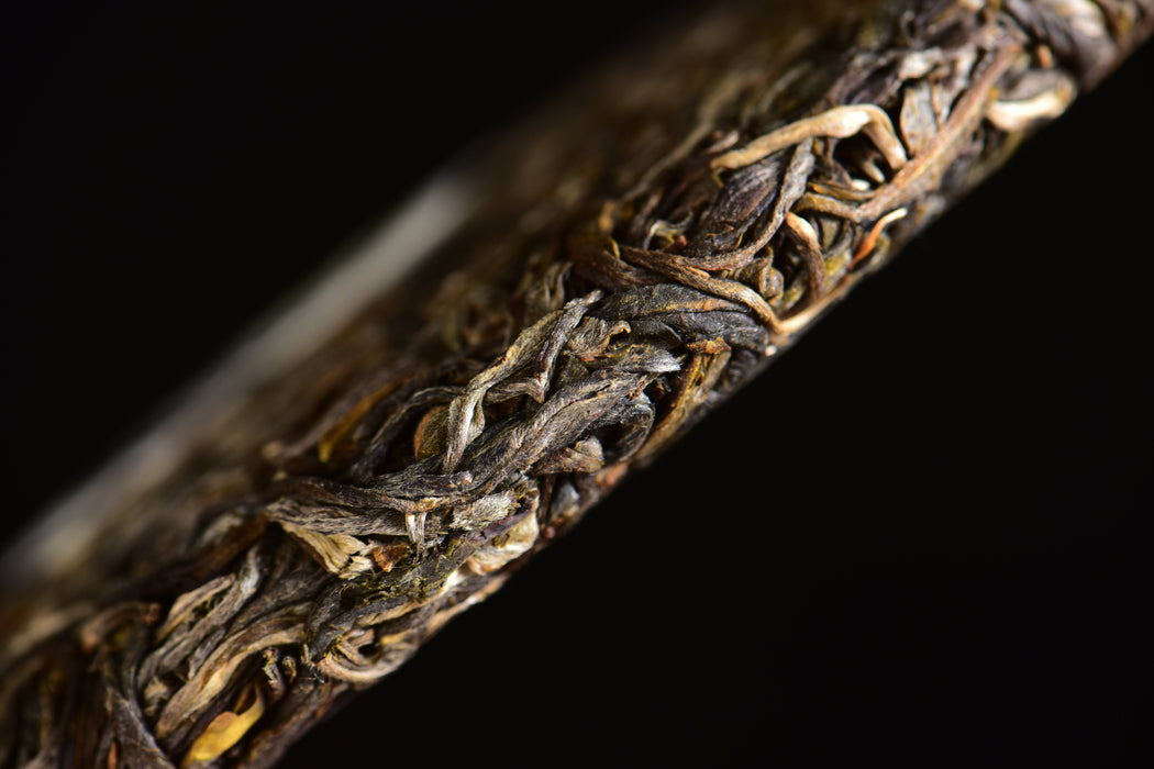 2025 Yunnan Sourcing "Autumn Suan Zao Shu" Old Arbor Raw Pu-erh Tea Cake | Yunnan Sourcing Tea Shop