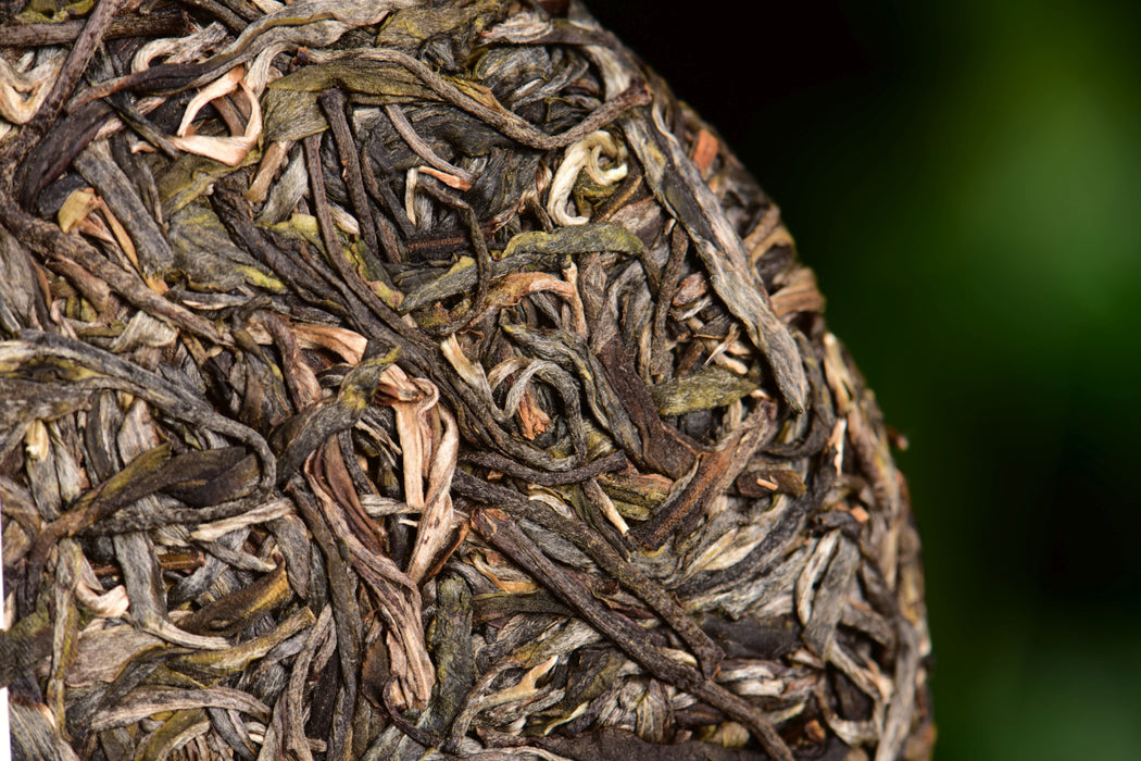 2024 Yunnan Sourcing "Autumn Wa Long" Ancient Arbor Raw Pu-erh Tea Cake (Copy) | Yunnan Sourcing Tea Shop