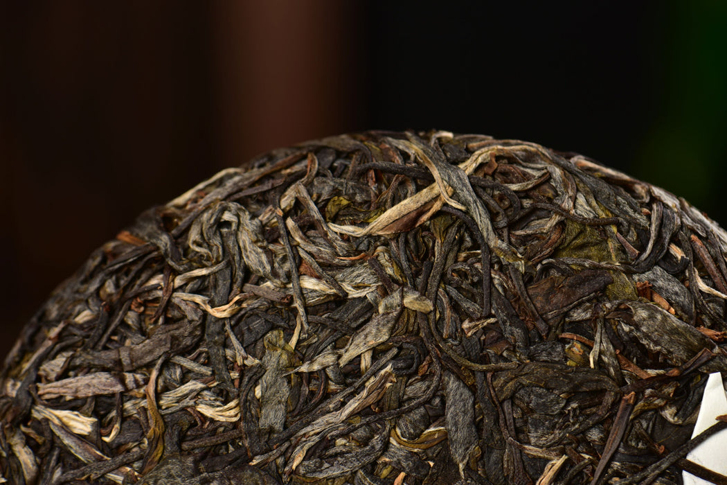 2025 Yunnan Sourcing "Heaven's Door" Wild Arbor Raw Pu-erh Tea Cake | Yunnan Sourcing Tea Shop