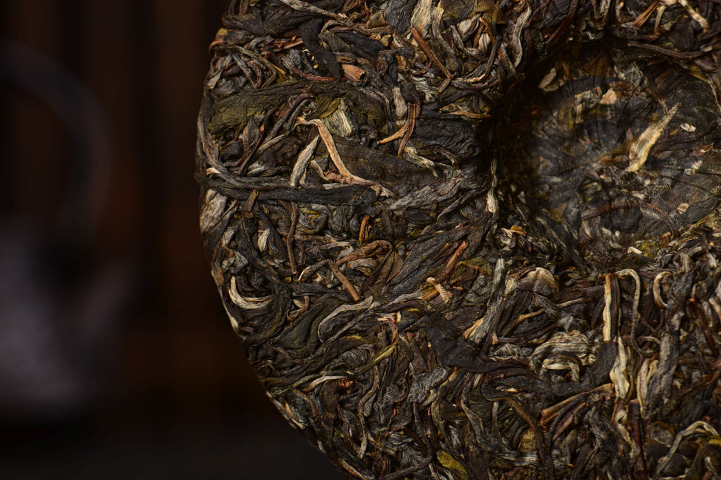 2025 Yunnan Sourcing "Heaven's Door" Wild Arbor Raw Pu-erh Tea Cake | Yunnan Sourcing Tea Shop
