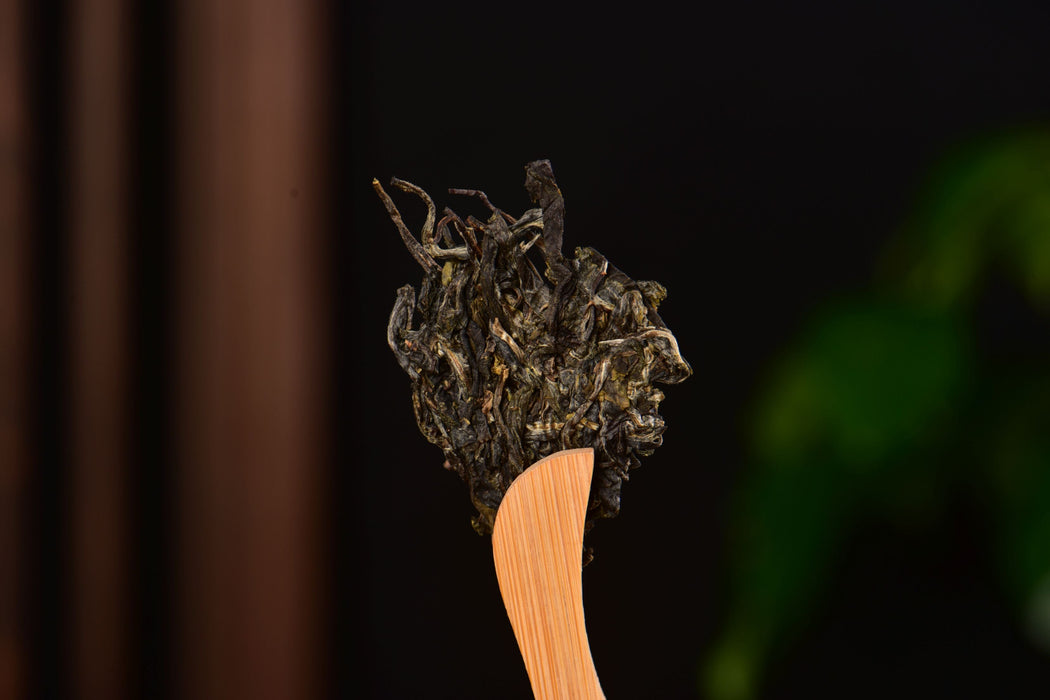 2025 Yunnan Sourcing "Heaven's Door" Wild Arbor Raw Pu-erh Tea Cake | Yunnan Sourcing Tea Shop