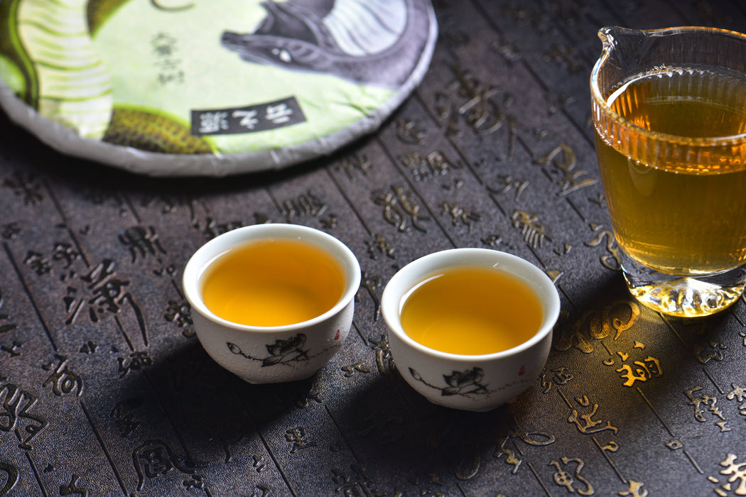 2025 Yunnan Sourcing "Autumn Da Qing Gu Shu" Old Arbor Raw Pu-erh Tea Cake | Yunnan Sourcing Tea Shop