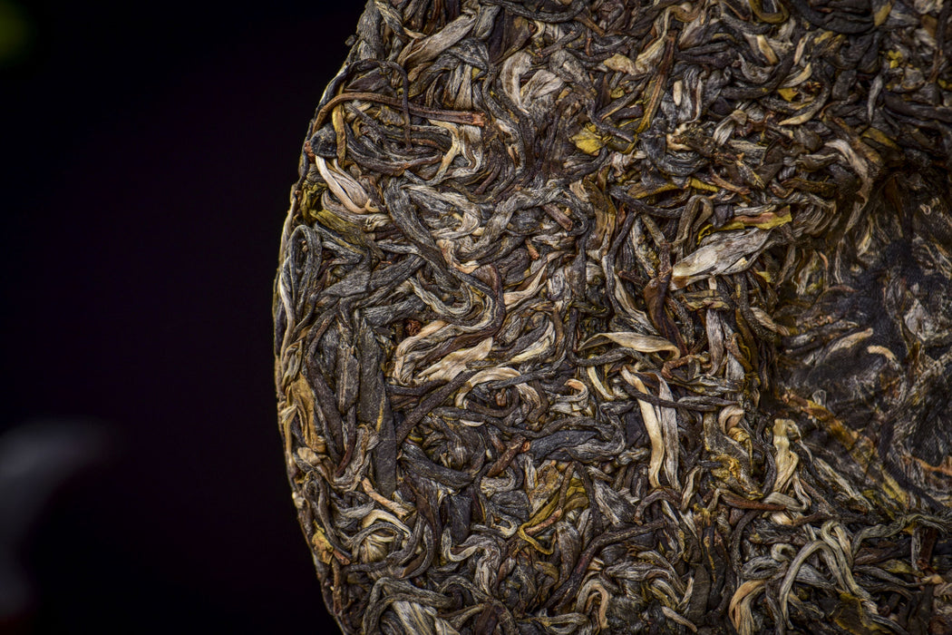 2026 Yunnan Sourcing "Naka Horse" Raw Pu-erh Tea Cake | Yunnan Sourcing Tea Shop