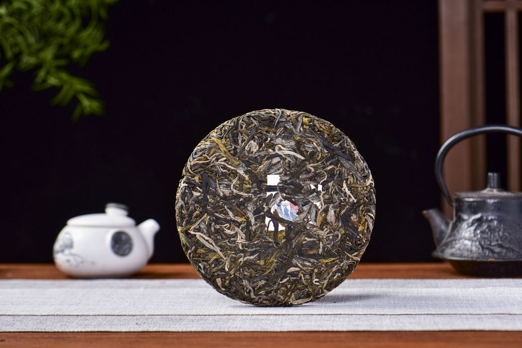 2026 Yunnan Sourcing "Free Spirit" Raw Pu-erh Tea Cake | Yunnan Sourcing Tea Shop