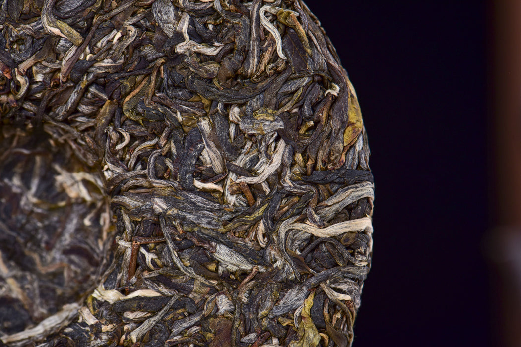 2026 Yunnan Sourcing "Free Spirit" Raw Pu-erh Tea Cake | Yunnan Sourcing Tea Shop