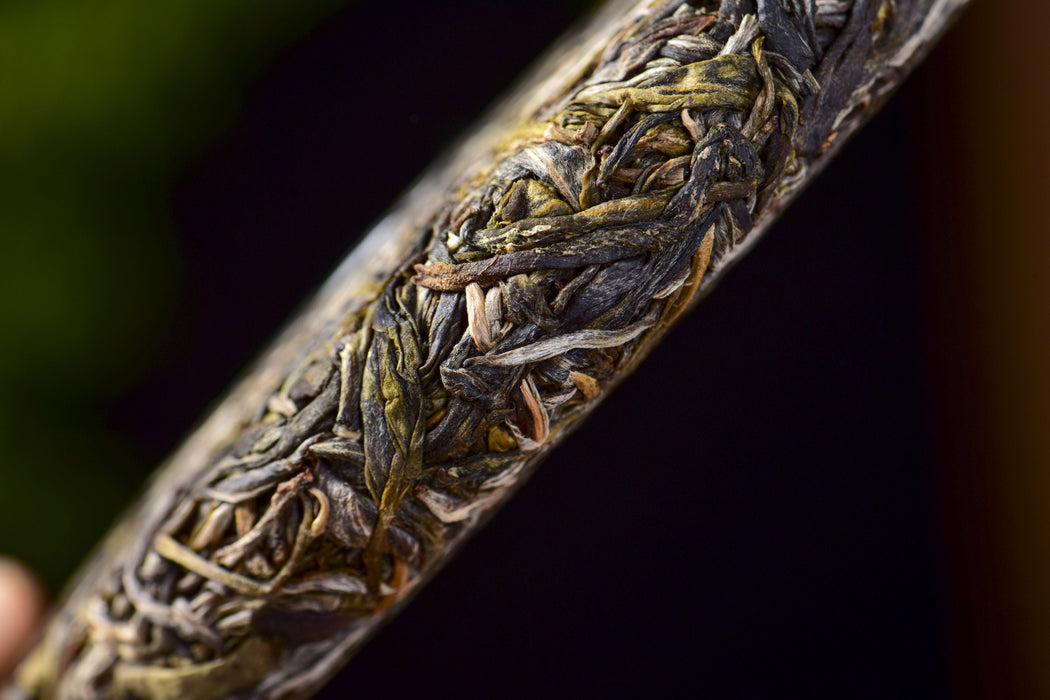 2026 Yunnan Sourcing "Free Spirit" Raw Pu-erh Tea Cake | Yunnan Sourcing Tea Shop