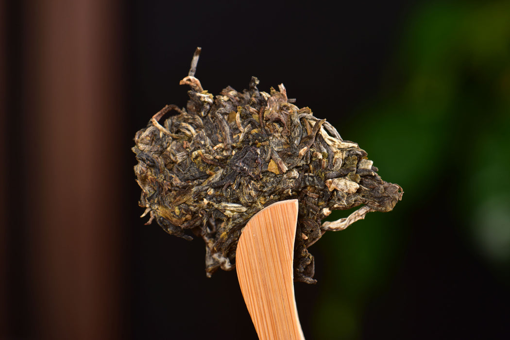 2025 Yunnan Sourcing "Cha Qi" Raw Pu-erh Tea Cake | Yunnan Sourcing Tea Shop