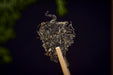 2026 Yunnan Sourcing "Ba Da Horse" Raw Pu-erh Tea Cake | Yunnan Sourcing Tea Shop