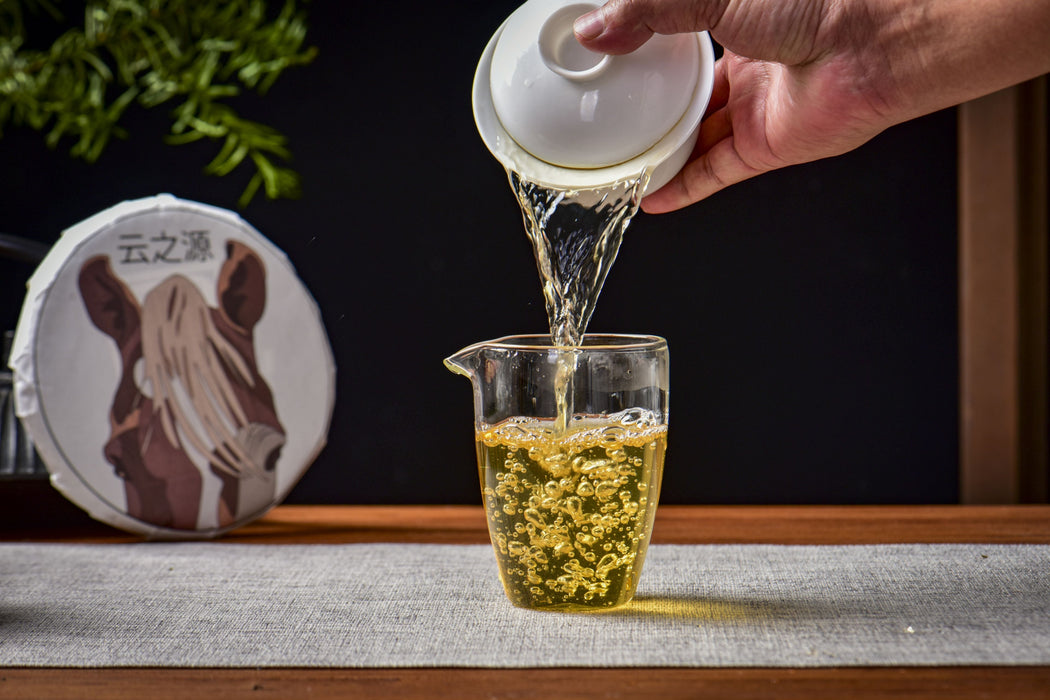 2026 Yunnan Sourcing "Ba Da Horse" Raw Pu-erh Tea Cake | Yunnan Sourcing Tea Shop