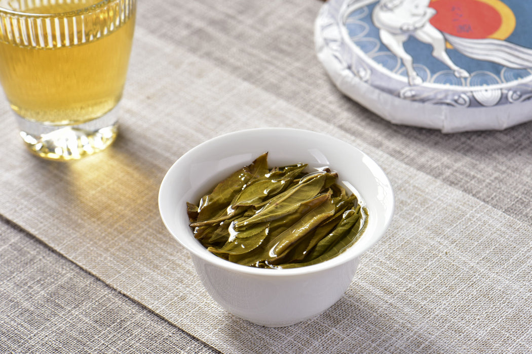 2026 Yunnan Sourcing "Free Spirit" Raw Pu-erh Tea Cake | Yunnan Sourcing Tea Shop