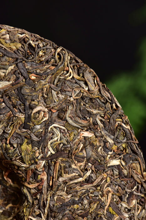 2024 Yunnan Sourcing "Cha Qi" Raw Pu-erh Tea Cake