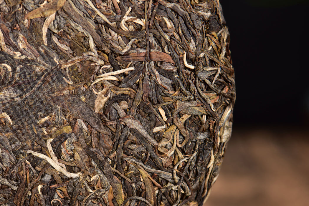 2024 Yunnan Sourcing "Elephant Mountain" Raw Pu-erh Tea Cake