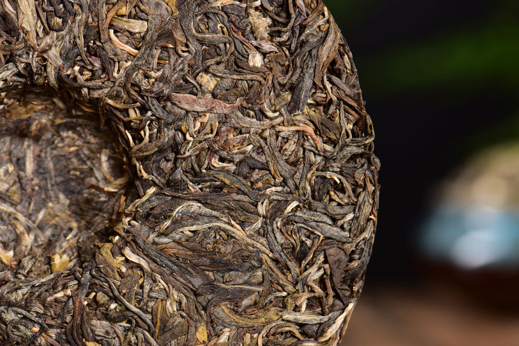 2024 Yunnan Sourcing "Elephant Mountain" Raw Pu-erh Tea Cake