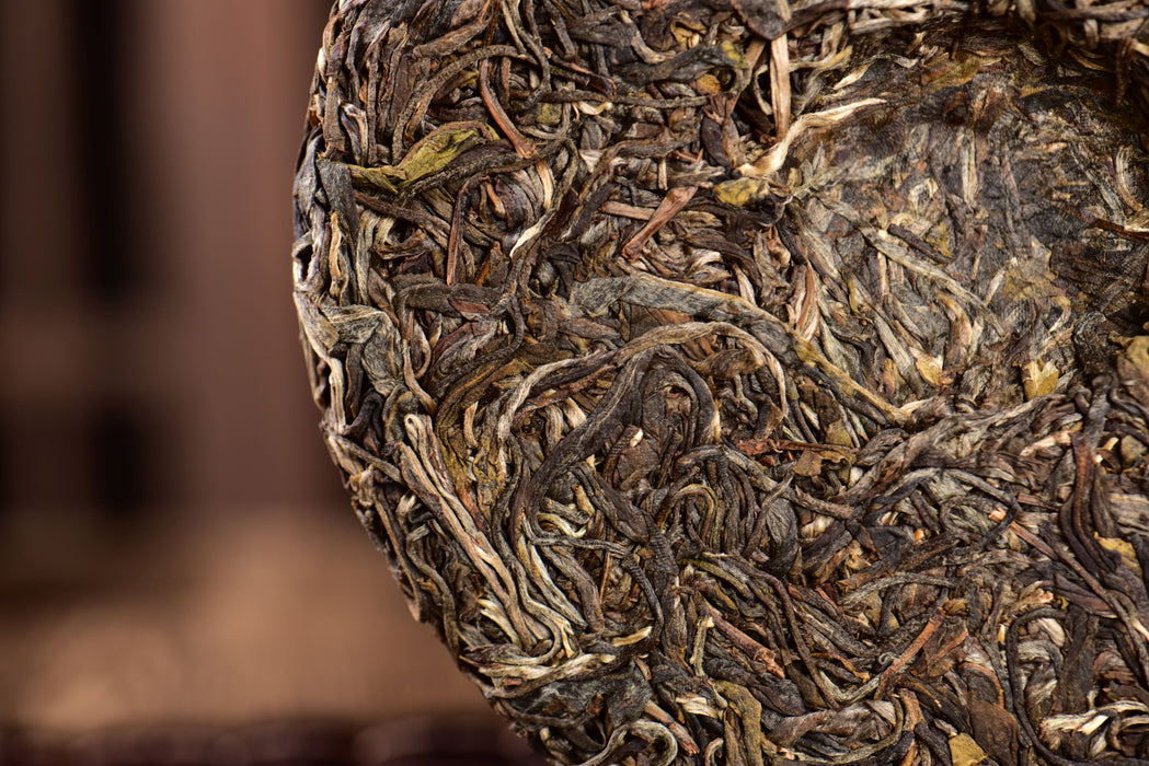 2024 Yunnan Sourcing "Elephant Mountain" Raw Pu-erh Tea Cake