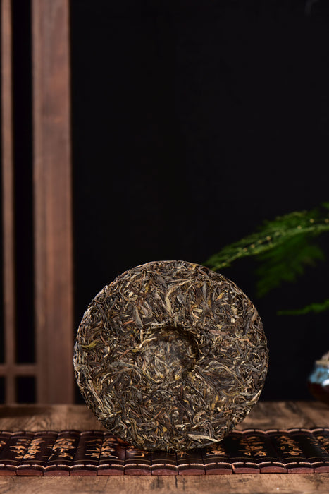 2024 Yunnan Sourcing "Elephant Mountain" Raw Pu-erh Tea Cake