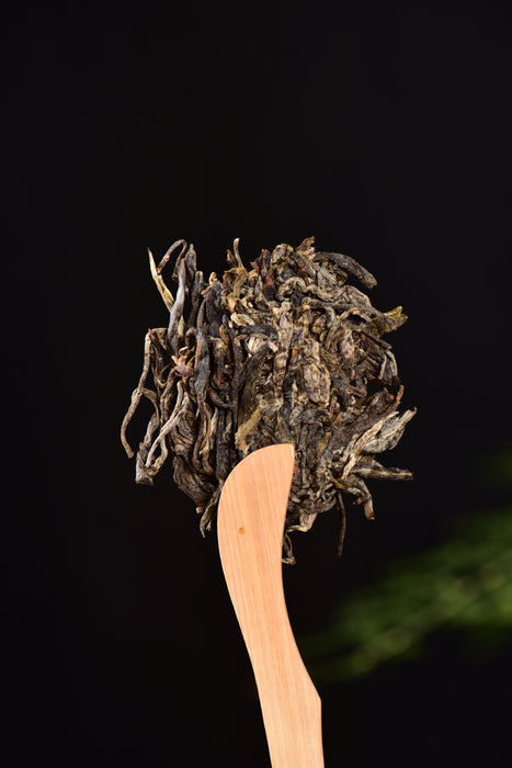 2024 Yunnan Sourcing "Elephant Mountain" Raw Pu-erh Tea Cake