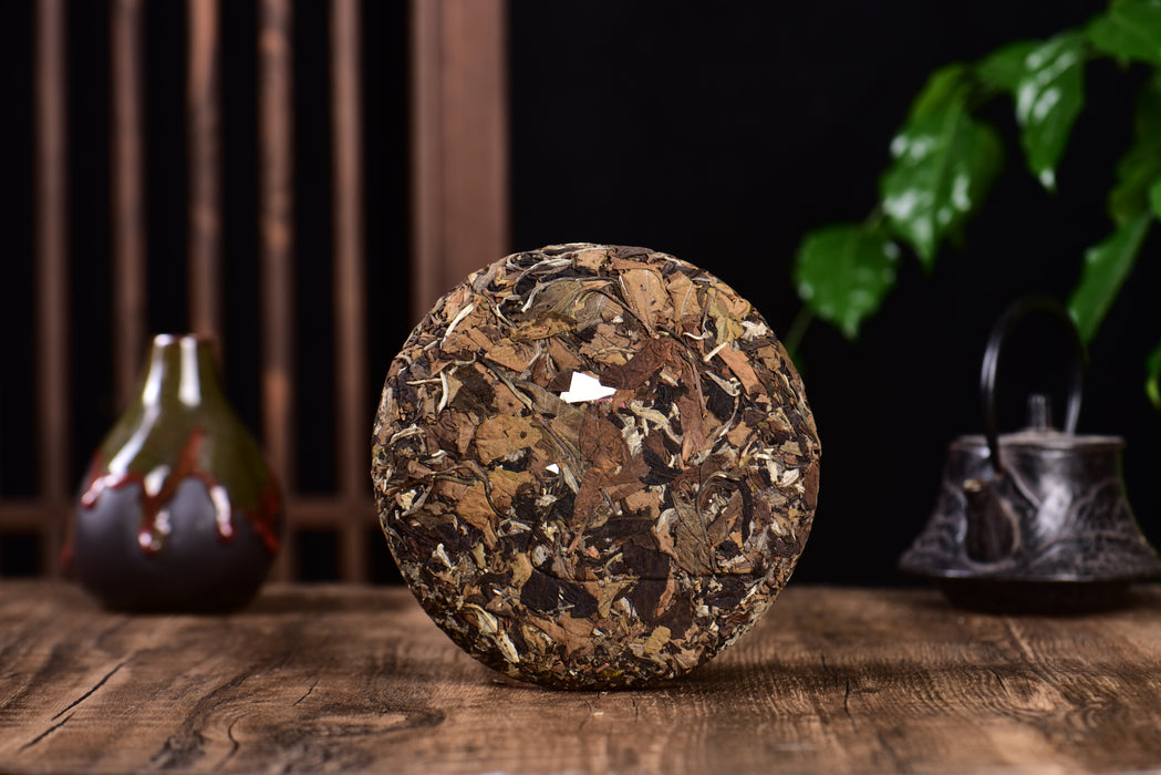 2024 Yunnan Sourcing "Jiu Tai Po Bai Cha" Old Arbor White Tea Cake