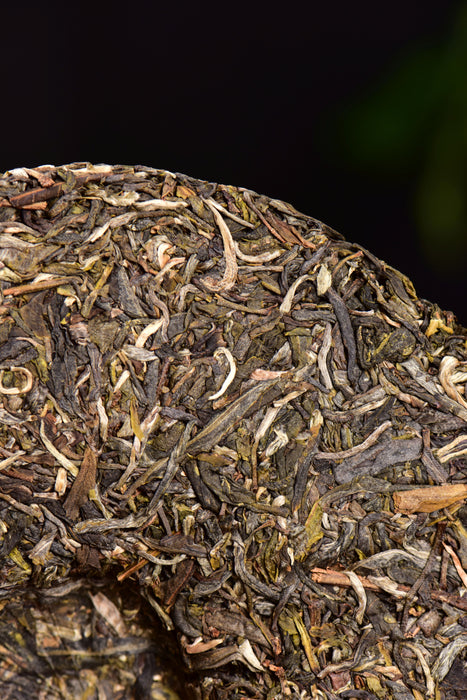 2024 Yunnan Sourcing "Impression" Raw Pu-erh Tea Cake