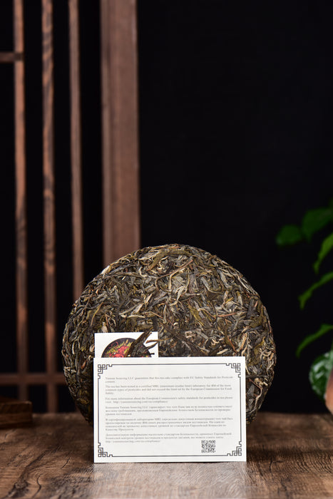 2024 Yunnan Sourcing "Jiu Tai Po" Old Arbor Raw Pu-erh Tea Cake