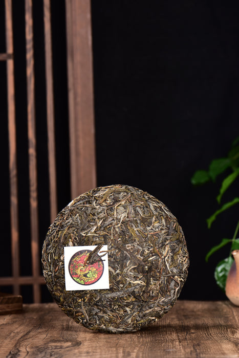 2024 Yunnan Sourcing "Jiu Tai Po" Old Arbor Raw Pu-erh Tea Cake