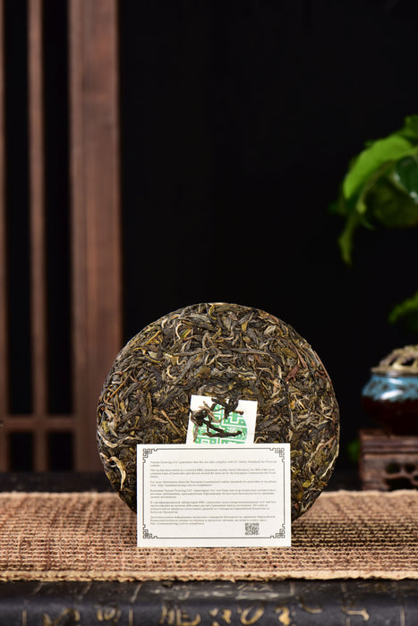 2024 Yunnan Sourcing "Dragon of Mang Fei" Old Arbor Raw Pu-erh Tea Cake