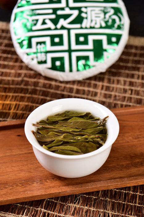 2024 Yunnan Sourcing "Dragon of Mang Fei" Old Arbor Raw Pu-erh Tea Cake