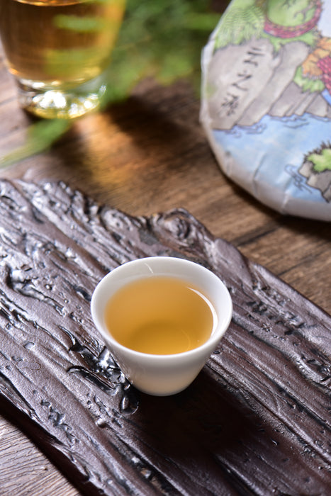 2024 Yunnan Sourcing "Mengku Gu Shu Bai Cha" White Tea Cake