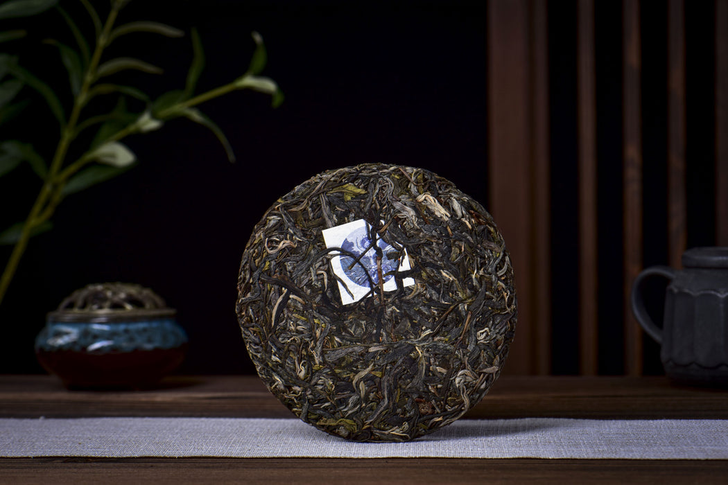 2026 Yunnan Sourcing "The Source" Raw Pu-erh Tea Cake | Yunnan Sourcing Tea Shop